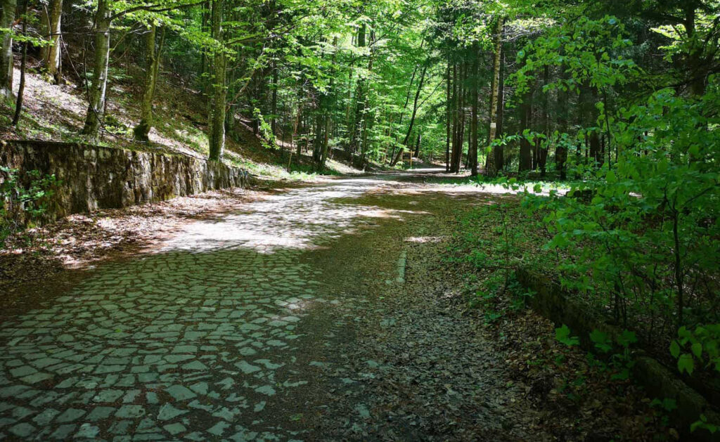 Locul unde nu e niciodată caniculă, aproape de Capitală