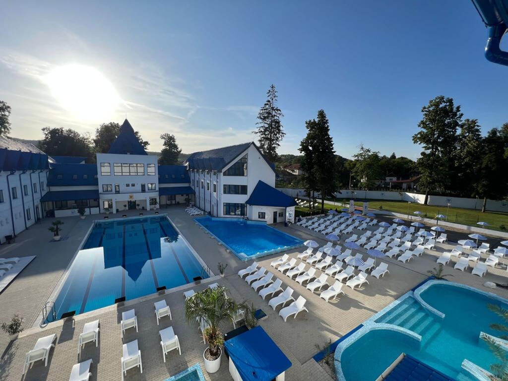 Afacerea Vața Băi. Cine este omul de afaceri care a cumpărat stațiunea la care râvnea Elena Udrea