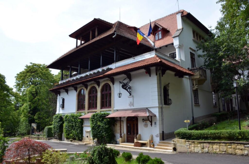 Liberalii sunt foc și pară pe PSD. Muzeul Brătianu, desființat