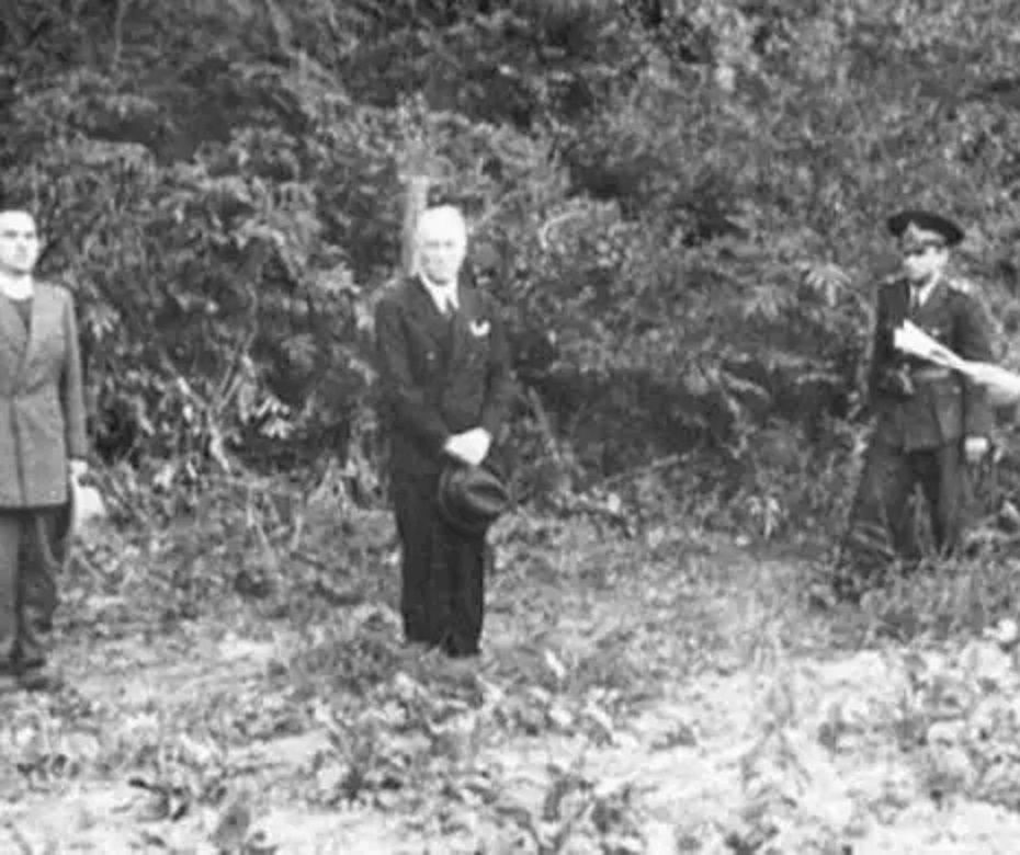 Românii, împărțiți cu privire la Antonescu - „erou” și „criminal de război”. Care sunt cifrele