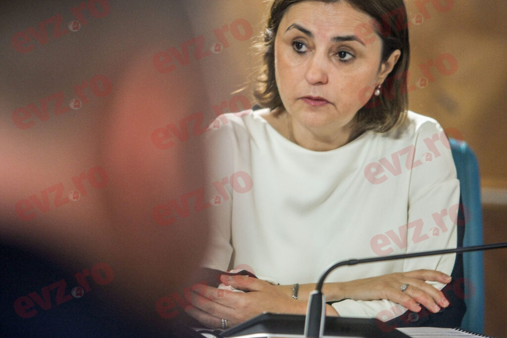 Luminiţa Odobescu, întrevedere cu omologul britanic Stephen Doughty. Foto