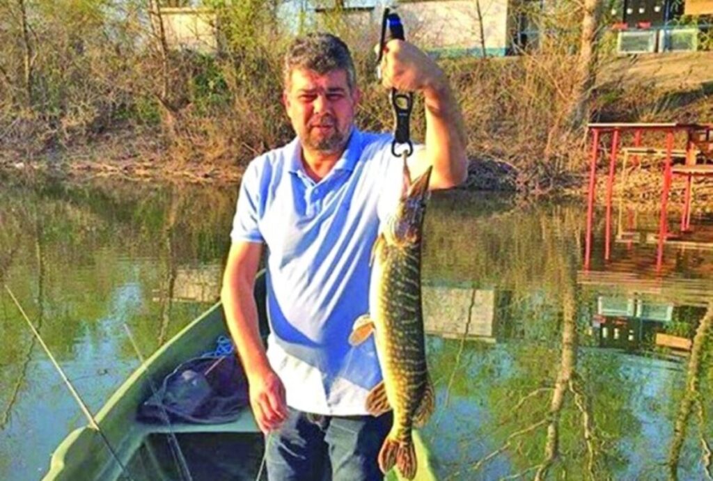 Momeala politică, pescuită și înghițită din balta lui Ciolacu