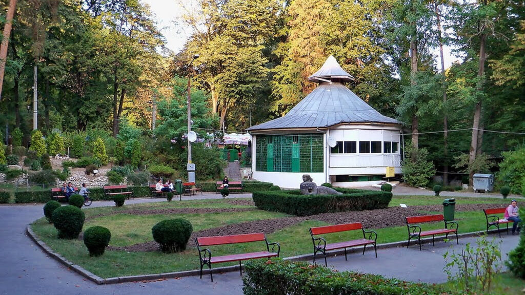 Pădurea Trivale nu va fi arie protejată. Opinia cetățenilor n-a contat