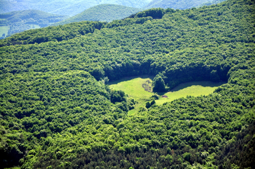Unic în România. Poiana în formă de inimă, creată de natură