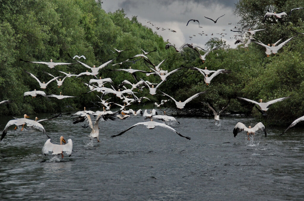 Peste 170.000 de turiști ne-au vizitat țara în 2022. Delta Dunării, locul preferat de Kathleen Kavalec