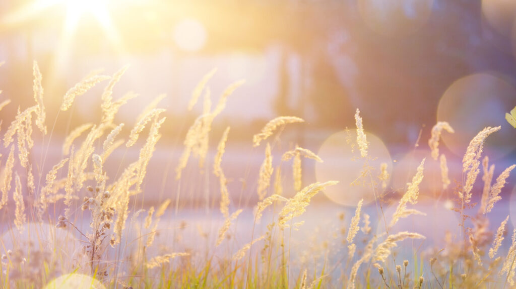 Prognoza meteo actualizată pentru România. Când vine iarna în țara noastră