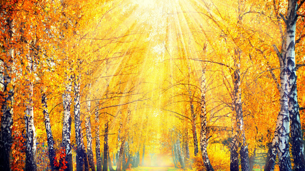 Prognoza meteo, 4 septembrie. Canicula persistă. Zonele cu cele mai ridicate temperaturi