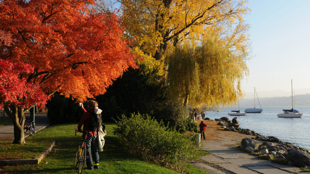 Vremea de toamnă vine în octombrie. Schimbări radicale în zilele următoare