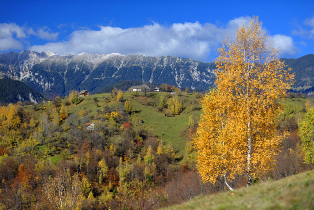 Poveștile captivante și comorile ascunse ale unei destinații de neuitat din România