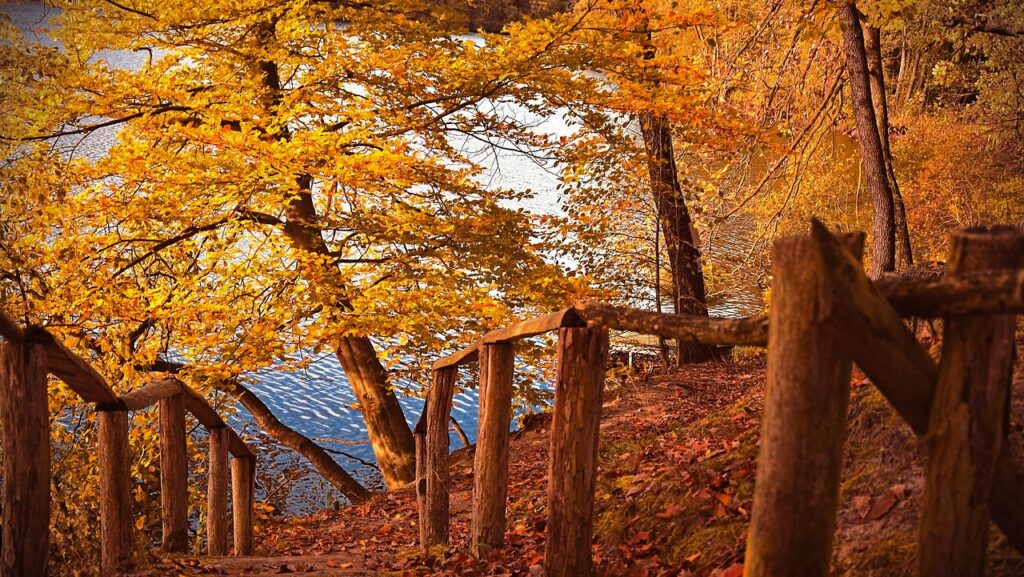 Prognoza meteo,1 noiembrie. Vreme de primăvară, în prima zi a lunii