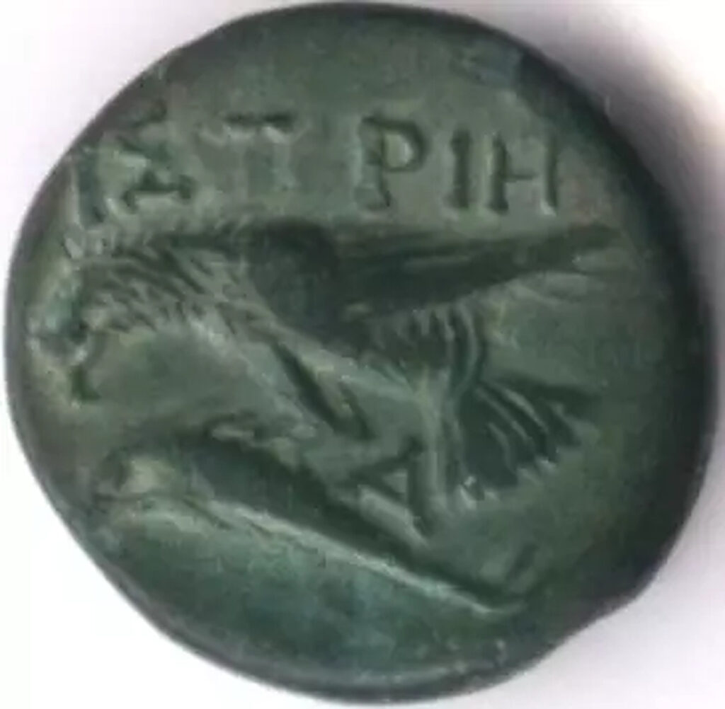 Judecători „de contencios” în coloniile grecești de la Marea Neagră