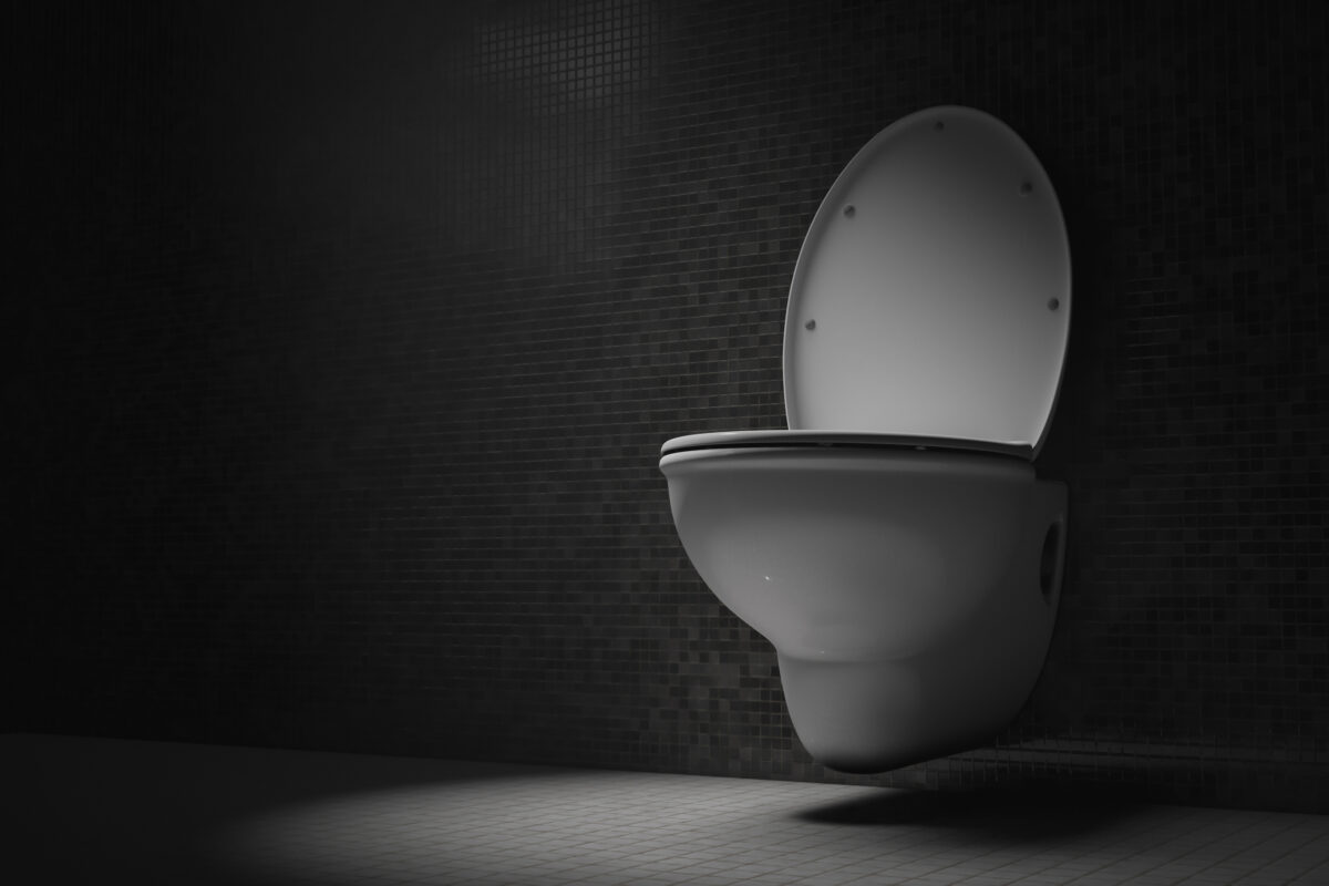 Ziua Mondială a Toaletei. Nu este o sărbătoare, ci un semnal de alarmă