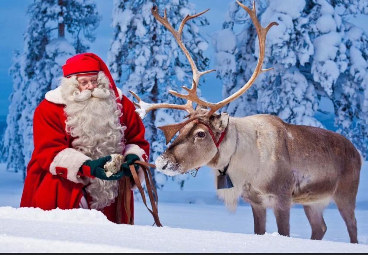 Theo Rose, cadou inedit pentru tatăl ei. I-a cumpărat o sanie cu trei reni