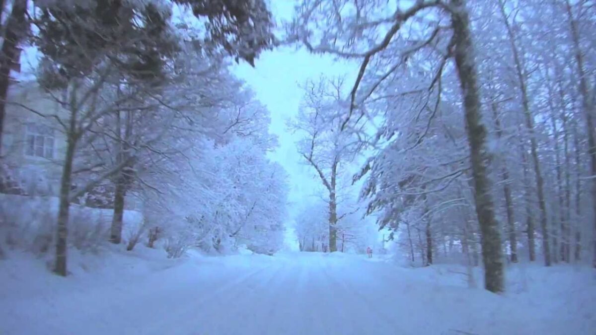 Horoscopul lui Dom’ Profesor – 1 ianuarie 2024. Aniron