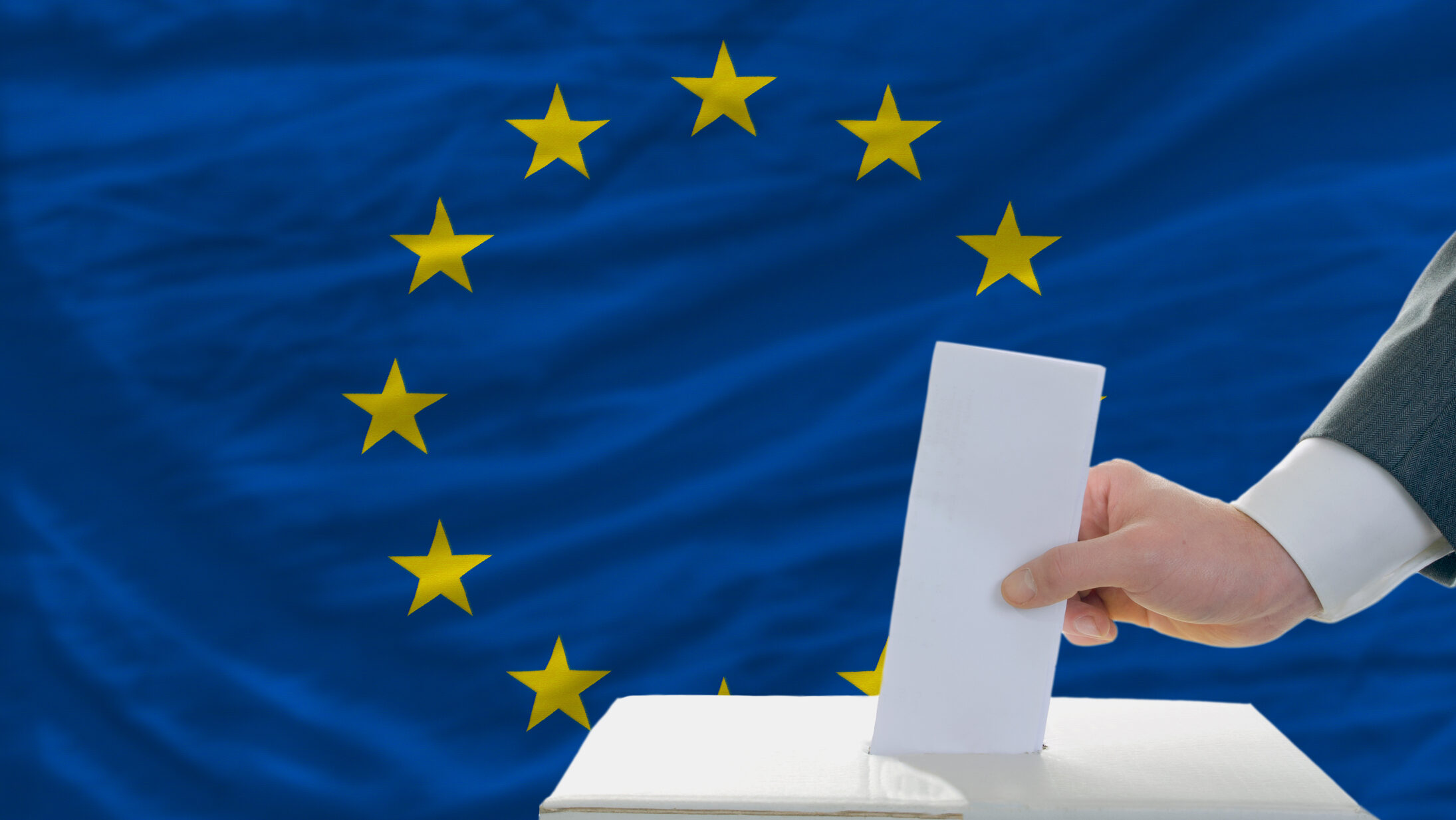 Alegerile europarlamentare