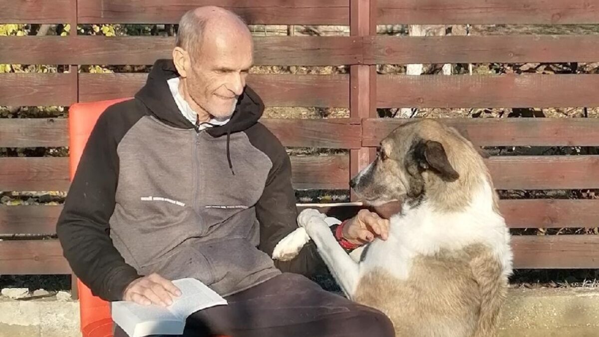 CTP provoacă noi controverse. Interpretare originală a momentului Nașterii Domnului