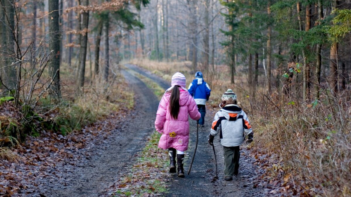 Prognoza pentru 16 decembrie. Vremea se schimbă brusc în weekend