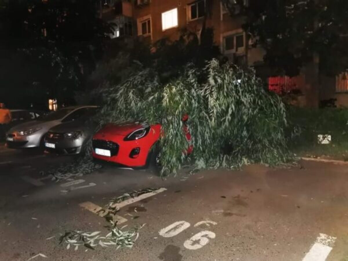 Nicușor Dan tace, deși a mai căzut un copac și a rănit o femeie. Mașini avariate. Primarul refuză solicitările edililor de la sectoare