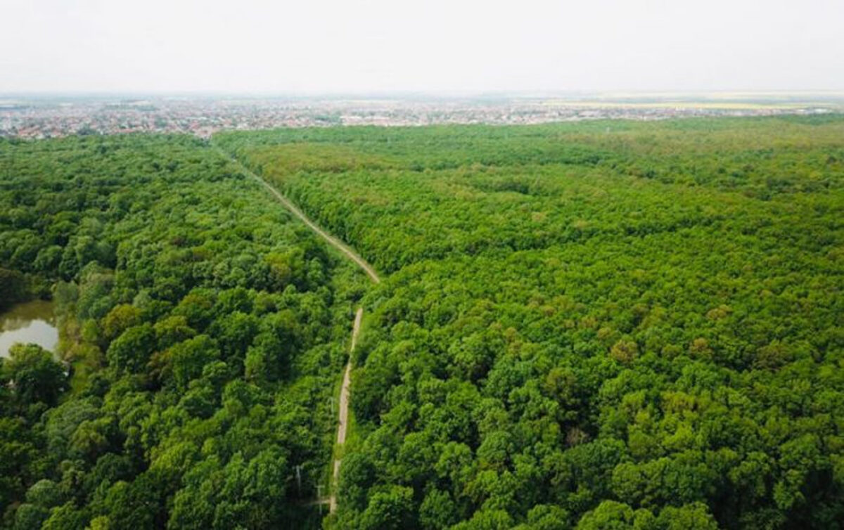 Etimologia cuvântului Zelenski. Explicaţiile unui cercetător român