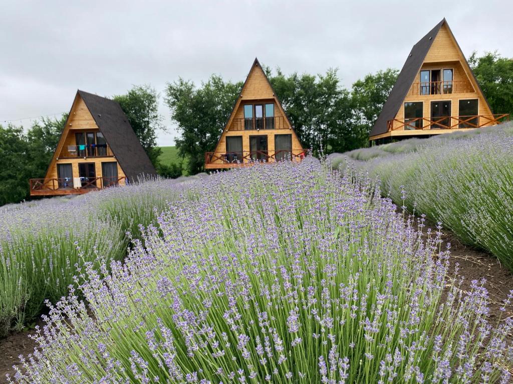 Crește numărul de turiști în Republica Moldova