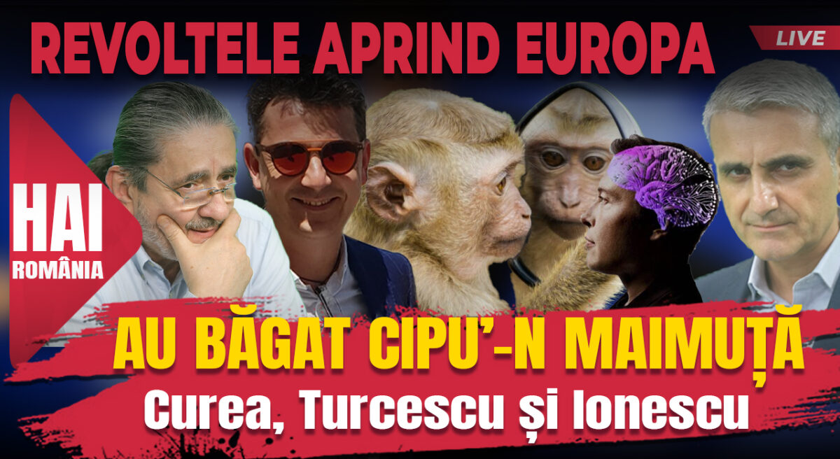 Au băgat cipu’-n maimuță. Hai live cu Turcescu la 12:00