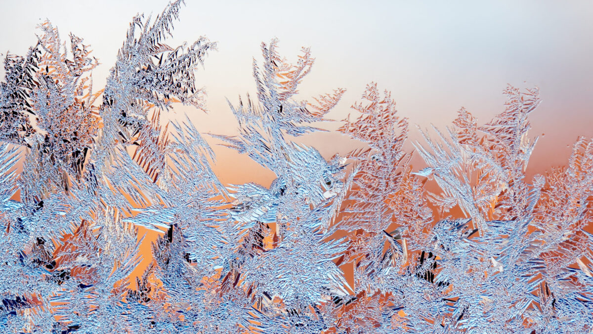 Prognoza meteo, 20 februarie. Cea mai friguroasă zi din această iarnă. Și e abia începutul