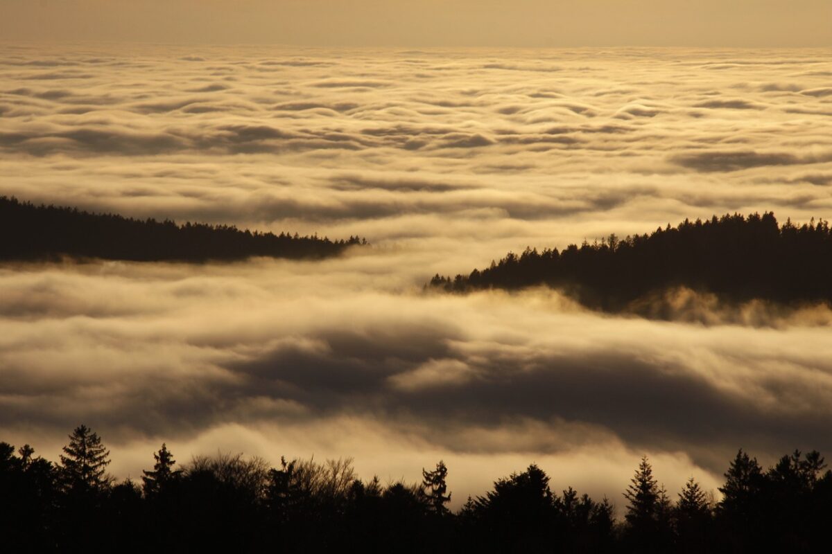 Prognoza meteo, 5 ianuarie. Temperaturi neobișnuite, ploi, ceață şi vânt puternic