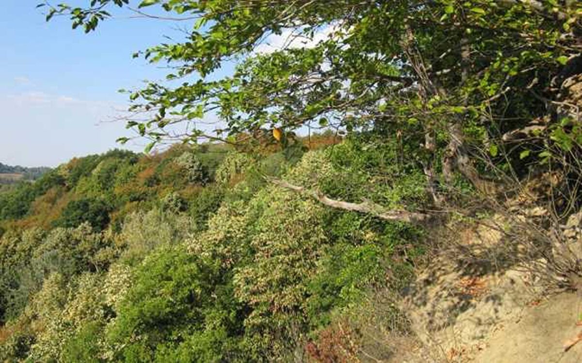 Un loc din România intră în topul celor mai bântuite destinații din lume