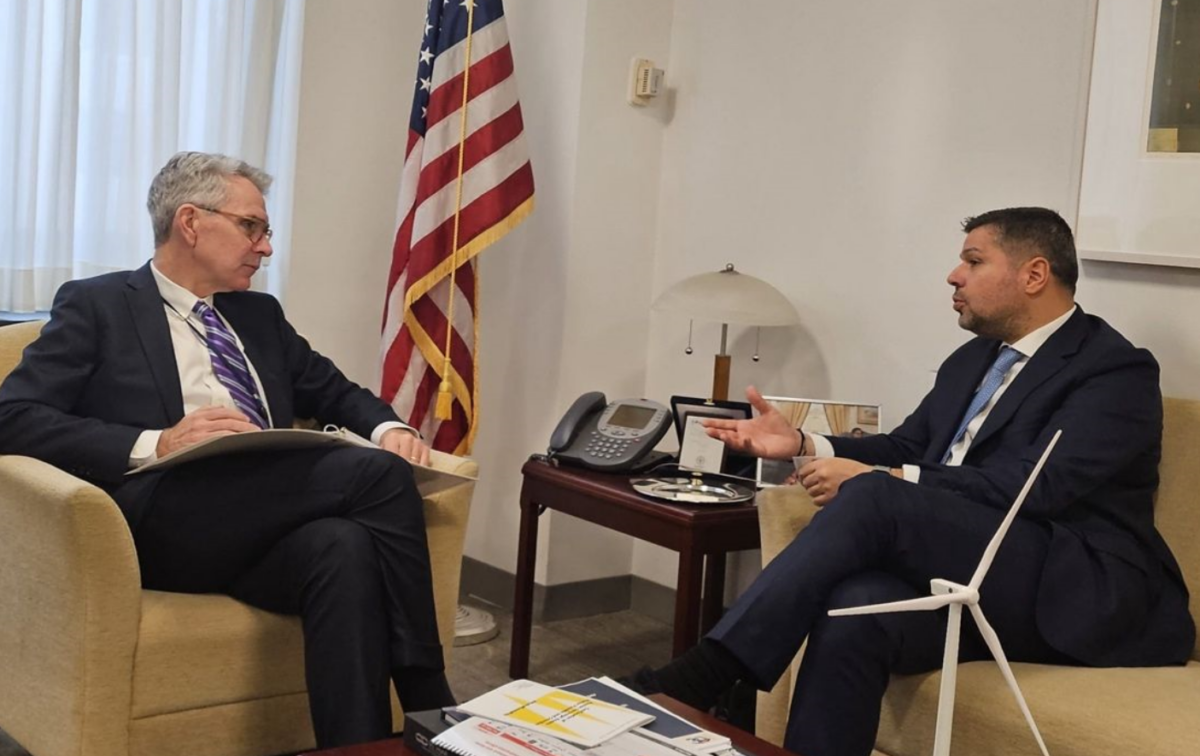 Întâlnire între directorul executiv al PPC și Geoffrey Pyatt la Washington - pe agendă, probleme legate de energie