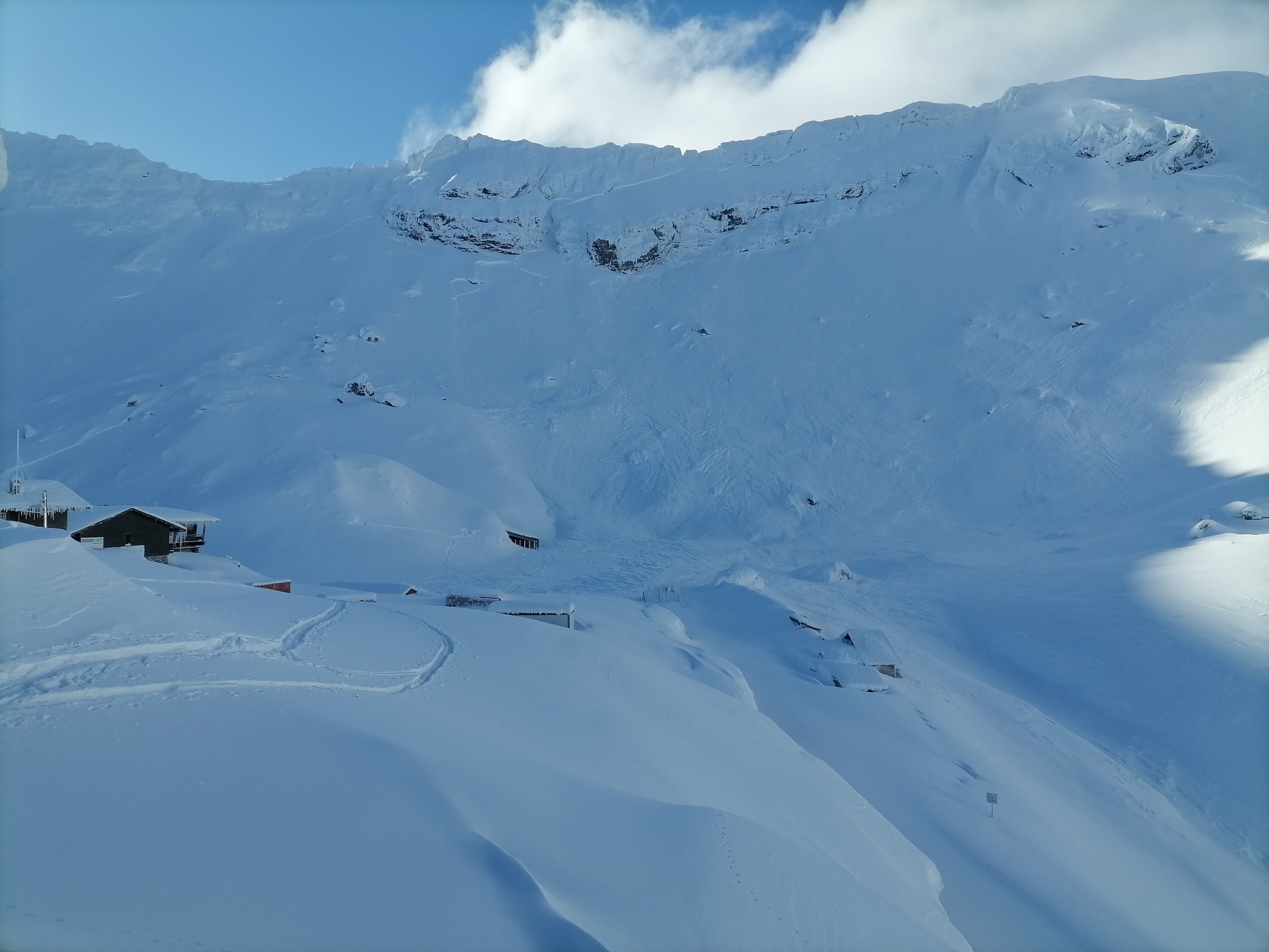 Avalansa zapada