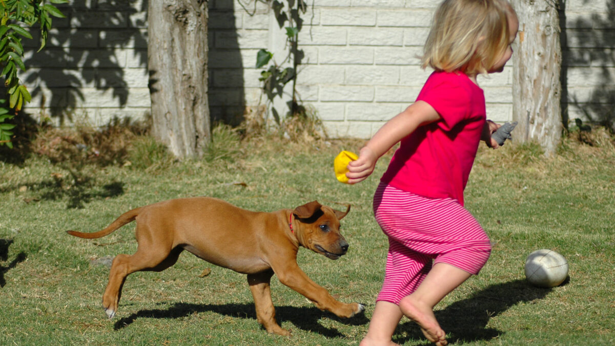 Alocația pentru copii va fi acordată după noi reguli. Legea a trecut de Senat