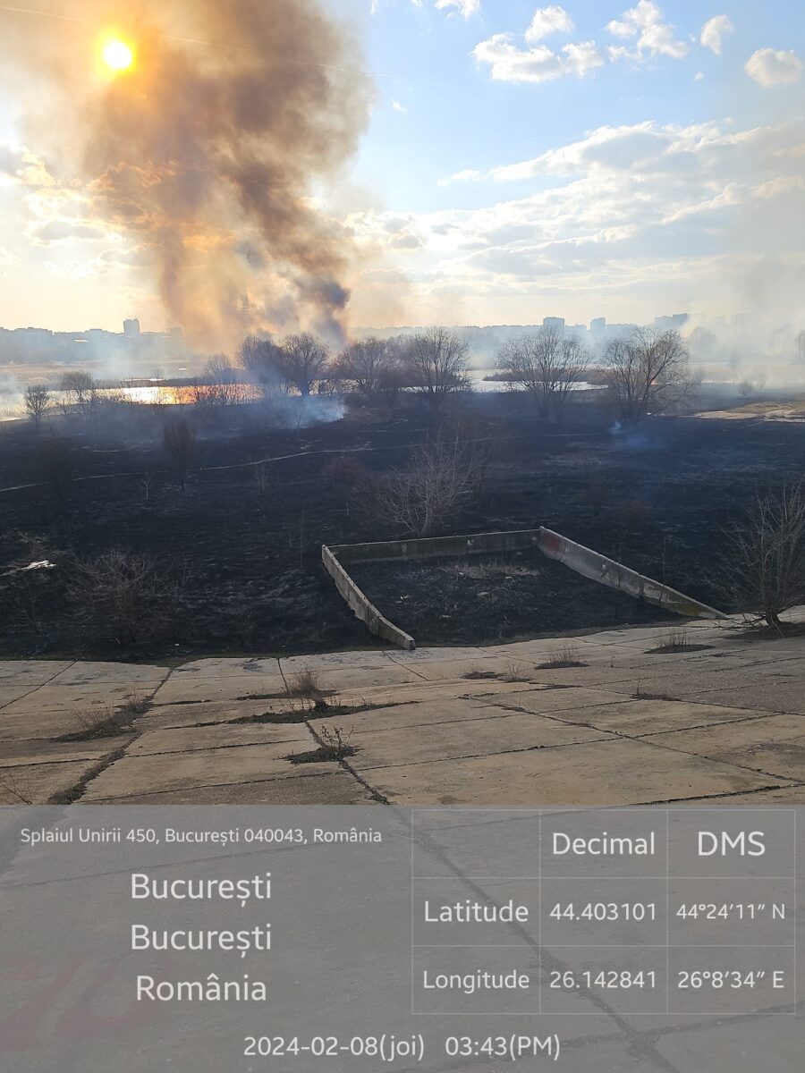 Politicile de mediu, rol esențial în dezvoltarea socio-economică a României. Soluțiile salvatoare