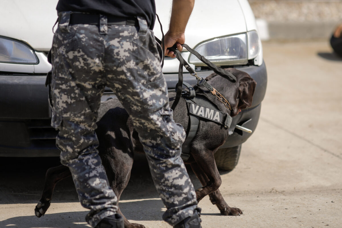 Șeful Direcției Vamale București și subalternii, trimiși în arest preventiv