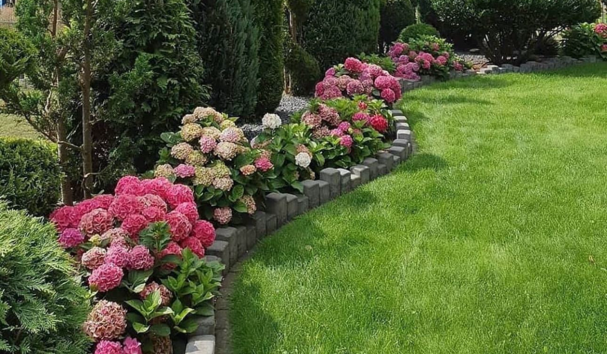 Cele mai frecvente greșeli de grădinărit. Cum poți crește plante sănătoase