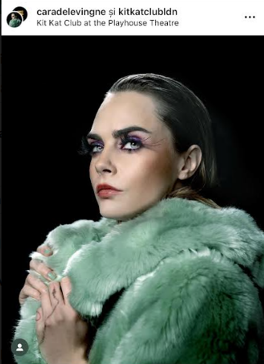 Cara Delevigne, devastată de incendiul care i-a distrus vila de 7 milioane de dolari. Cele două pisici au fost salvate de pompieri