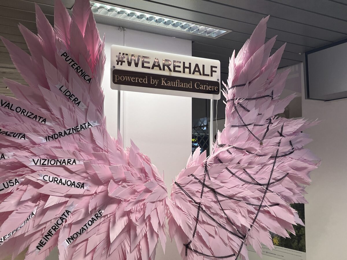 De ce sunt puține femei ce pilotează avioane? Fenomenul este unul larg răspândit