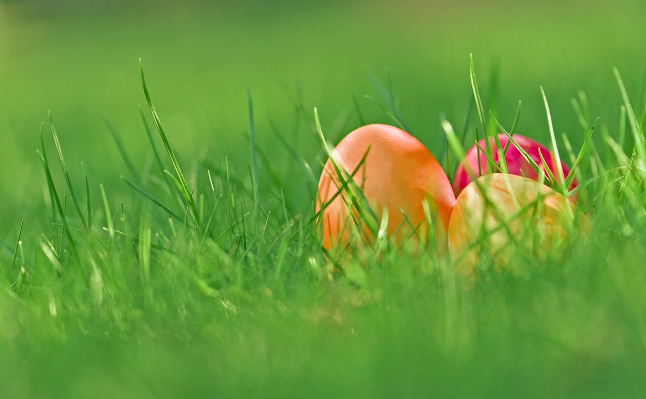 Prognoza meteo, 5 aprilie. Temperaturi ridicate de Paștele catolic. Românii se vor putea bucura de o zi însorită