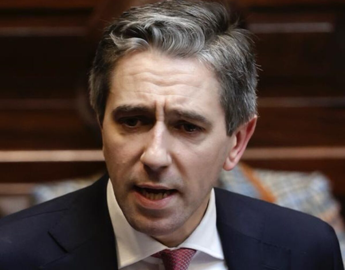 Un videclip de pe TikTok ar putea răsturna rezultatele alegerilor din Irlanda