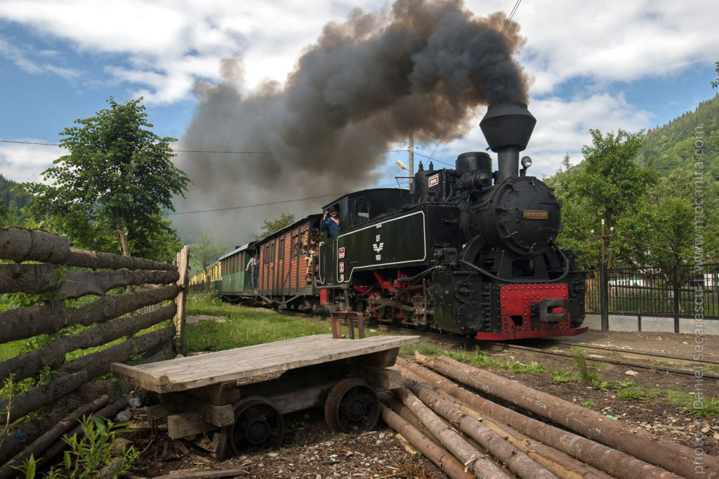 Mocănița de pe Valea Vaserului. Un loc de poveste în Maramureș
