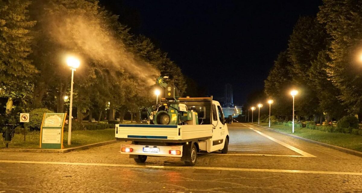 Primăria începe tratamentele de combatere a țânțarilor în București. Ce zone sunt vizate