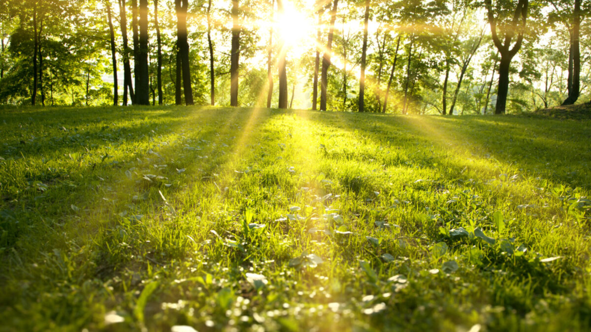 Prognoza meteo, 7 aprilie. Miroase a vară. Zonele cu cele mai ridicate temperaturi