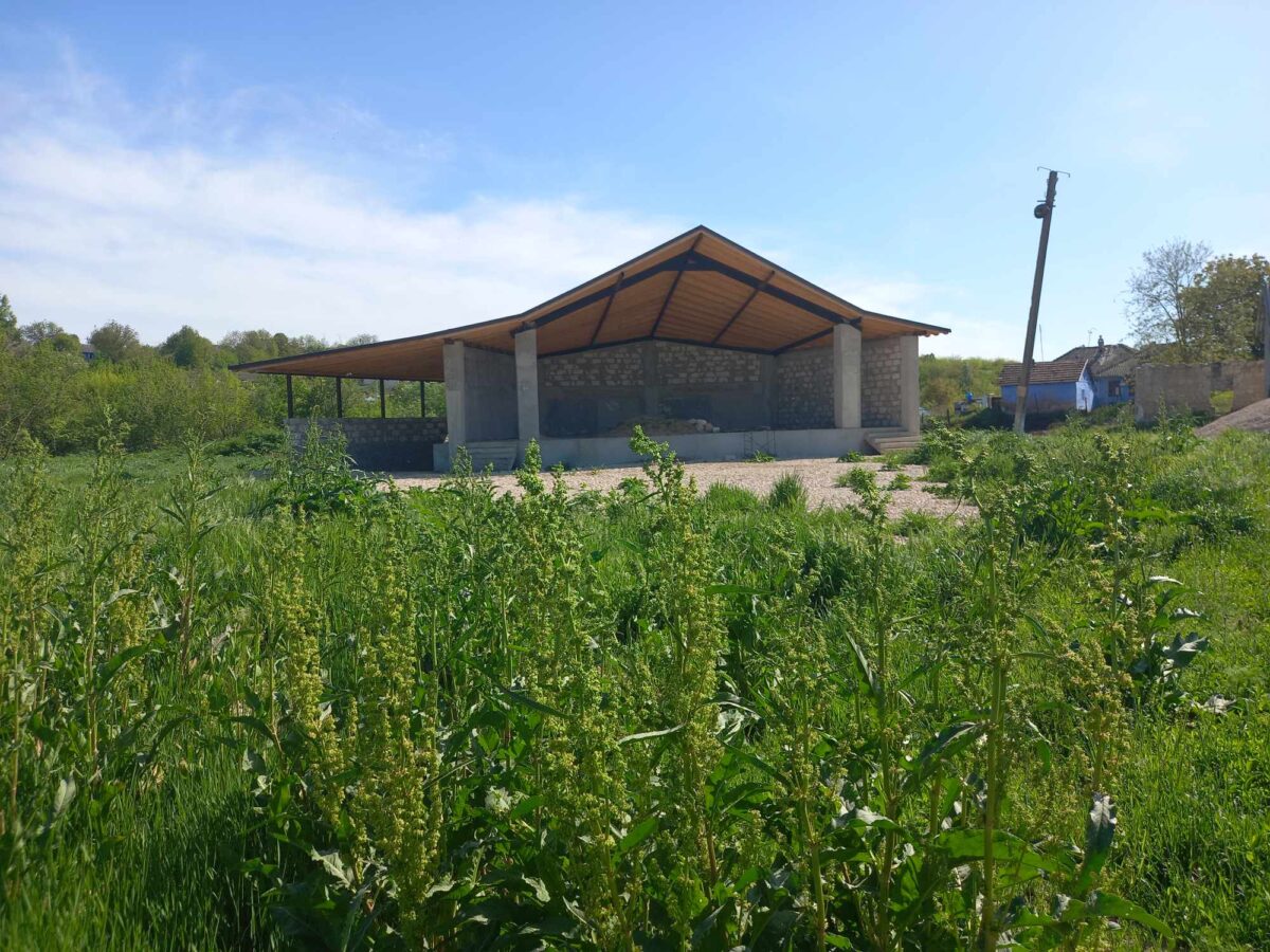 Scuar pentru... vite sau cum au fost furaţi banii publici pentru campania electorală a partidelor lui Ilan Şor.Video