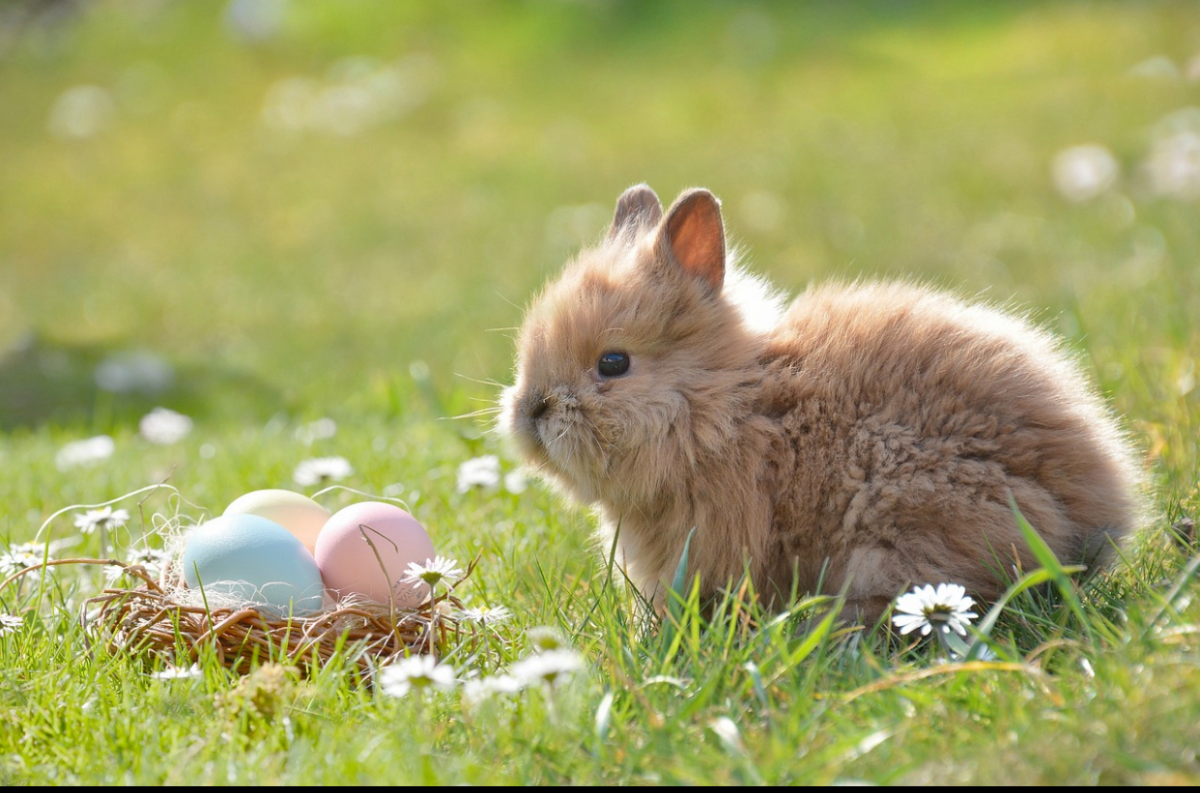 Vremea în noaptea de Înviere și în prima zi de Paște. Prognoza meteo actualizată