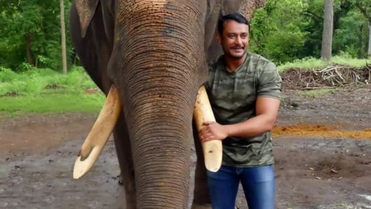 Un actor celebru, arestat. Ar fi făcut o crimă după un scenariu de film