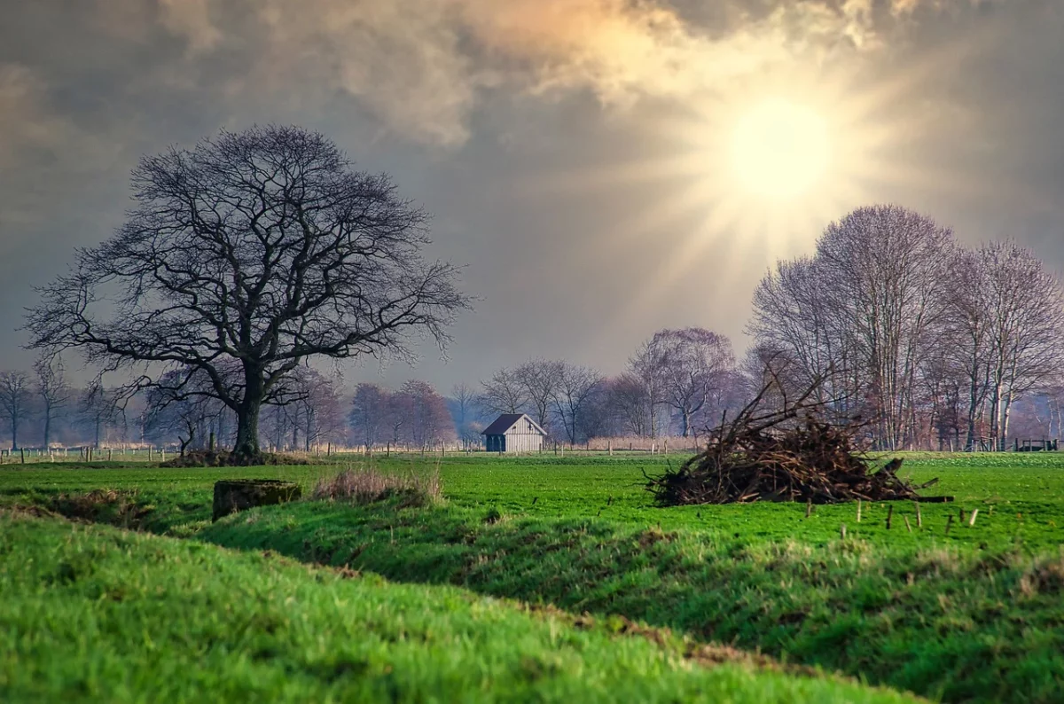 Început de vară capricios cu ploi și călduri peste mediile normale. Prognoza meteo actualizată