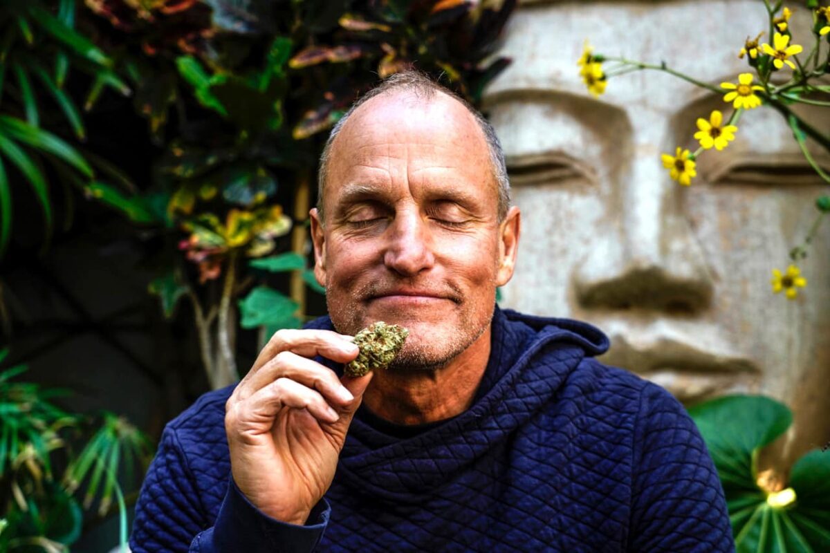 Ce avere are Woody Harrelson. Actorul nu poate să cheltuiască atâția banii în două vieți