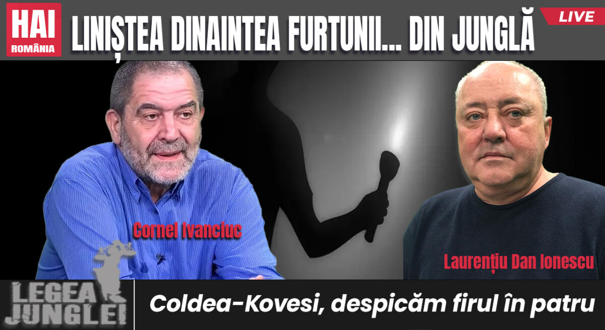 Coldea-Kovesi, despicăm firul în patru. Legea junglei