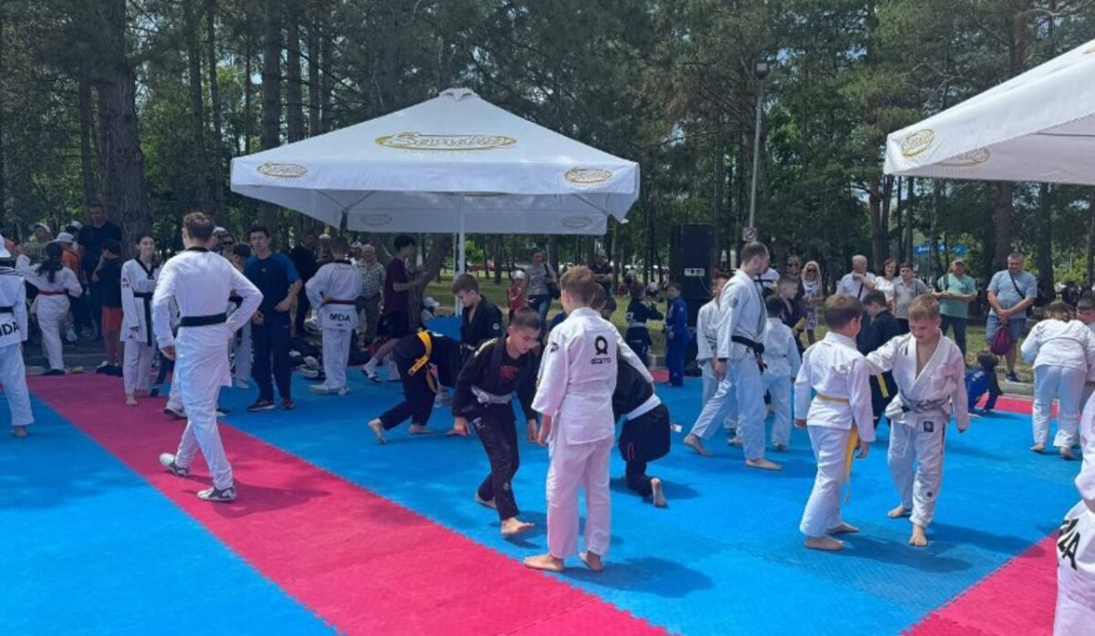 Mii de amatori din Republica Moldova, prezenți la Festivalul Chișinău Sportiv