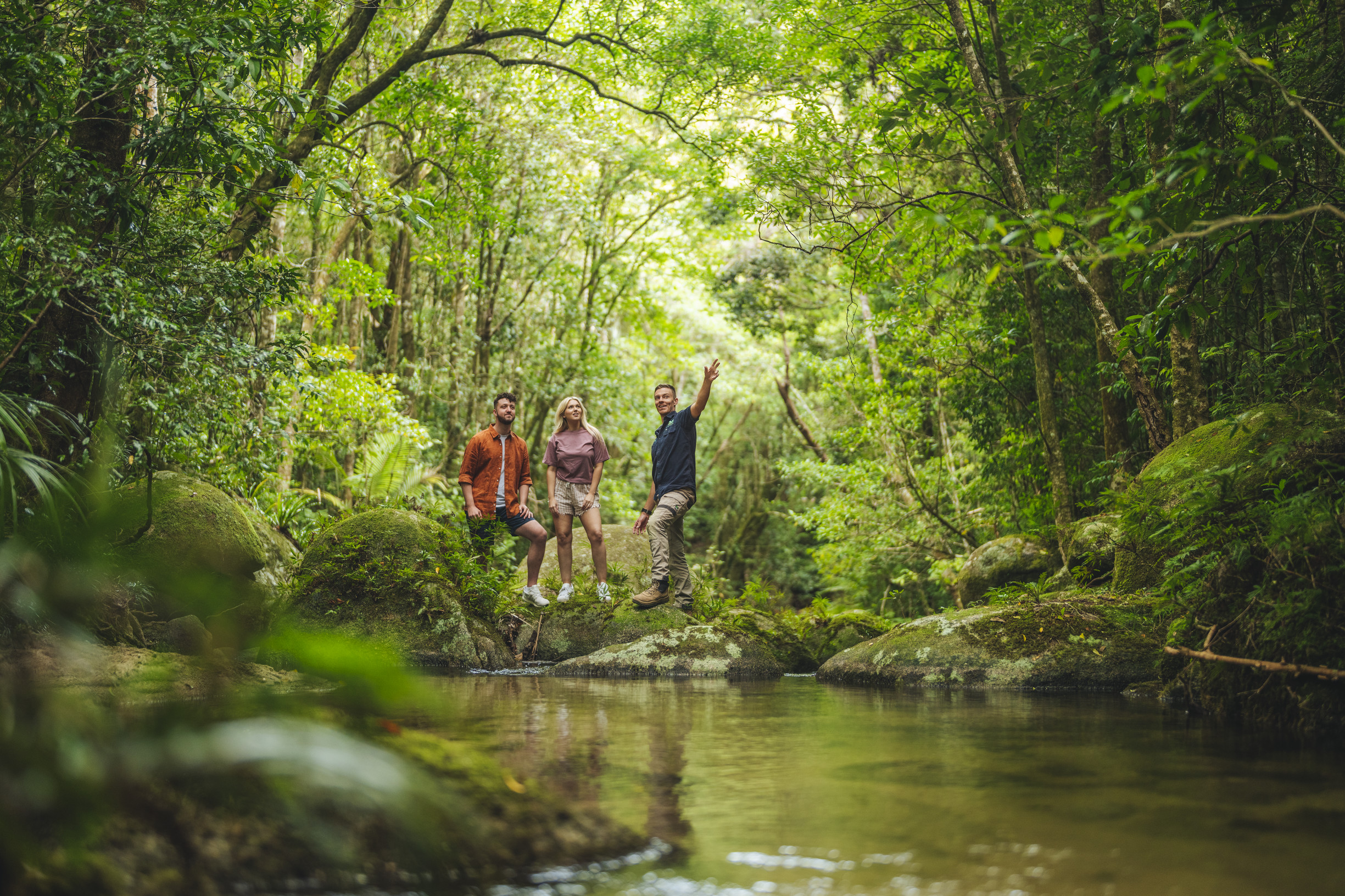 De ce românii țin bani în buzunar când aud prima dată cucul în martie