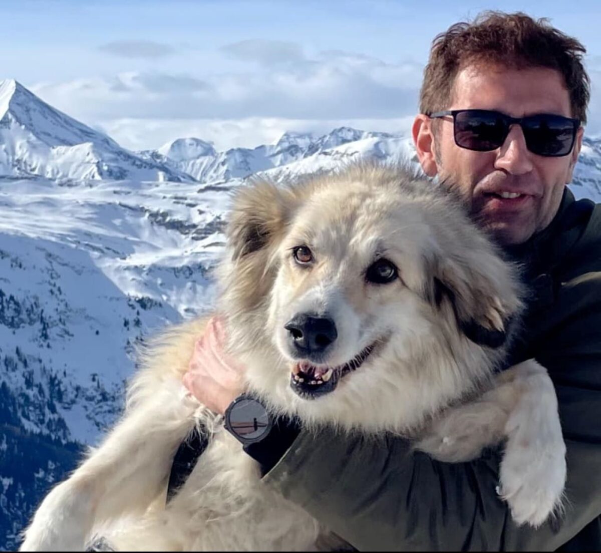 Gabriel Păun: Ar fi uman să ne gândim și la animalele singure și să le oferim apă